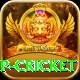 2022 world cup cricket Pro Edition v3.2.4