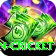 afghanistan cricket Plus Pro v3.5.0