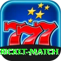 all cricket match VIP Edition v5.3.4