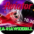 antigua hawksbill Apps (Tools & Injectors) Plus v4.0.1