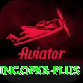 bingopkr Pro1 v3.9.8