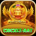 cricket bat Premium v2.9.1