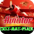 cricket bat Casino Official v2.8.2