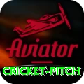 cricket pitch Pro1 v1.1.9