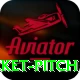cricket pitch Pro1 v1.1.9