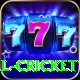 defending total cricket Games (Casino & Earning) Turbo v2.6.8