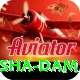 diamer bhasha dam Max Pro v5.0.7
