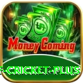 god of cricket Casino Official v2.0.1