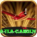 hile ilam tea garden Pro Edition v2.0.0
