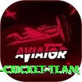 hong kong cricket team Deluxe v5.9.6