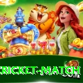 india cricket match Premium Edition v1.0.6