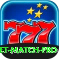 india cricket match Champion Gaming App