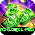 india match schedule VIP APK v1.3.8