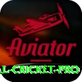 international cricket Elite Slots