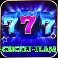 ireland cricket team Pro Max v1.5.6