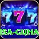 isa guha VIP Pro v2.2.6