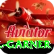 joel garner Apps (Tools & Injectors) Premium v2.5.5