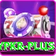 luckypkr Apps (Tools & Injectors) VIP v3.3.3