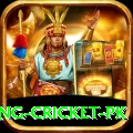 make money betting cricket pk Plus Pro v5.9.3