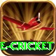 mobile cricket