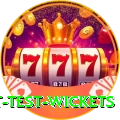 most test wickets Gold Edition v2.8.8