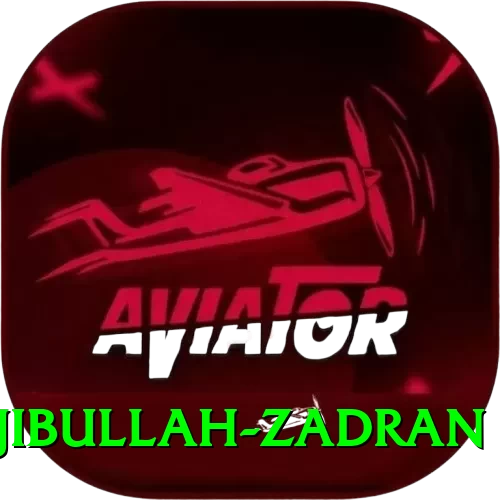 najibullah zadran Pro Max v1.3.9 - 2