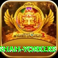 naseem shah yorkers Turbo v2.5.5