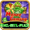 Pakistan Betting Site Gaming King v4.2.2