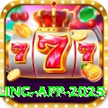 pakistan gambling app 2025 VIP Pro v4.8.7