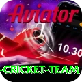 pakistan women cricket team Turbo v5.9.6