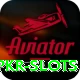 pkr slots Apps (Tools & Injectors) Premium v5.1.3