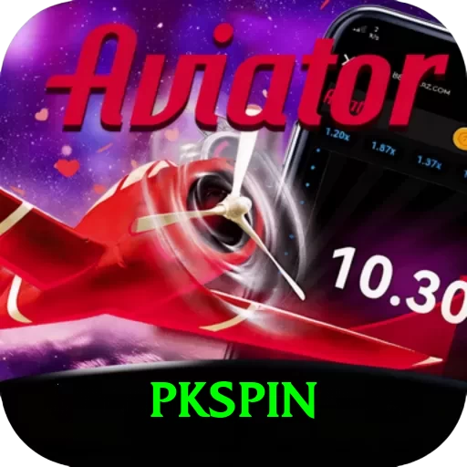 pkspin Pro Edition v5.5.9 - 2