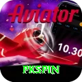 pkspin Pro Edition v5.5.9