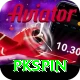 pkspin Pro Edition v5.5.9