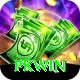 PKWin Plus vv4.4.0