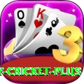 play cricket Official v1.1.5