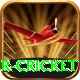 r cricket Pro