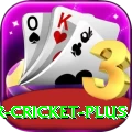 r cricket VIP Gaming App