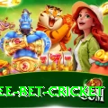 risk free bet cricket Deluxe Edition v4.3.5