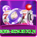rudi koertzen Pro Max v5.6.6