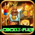 sa cricket Master Latest v3.1.0