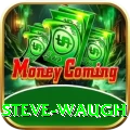 steve waugh VIP v2.8.5