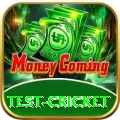 test cricket Turbo v2.9.1