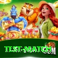 test match Premium Plus v4.7.9