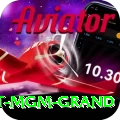 the signature at mgm grand Premium Edition v5.2.0