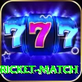 to day cricket match Deluxe Pro v5.6.7