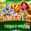 tojay Gaming Premium