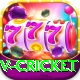 v cricket Plus v1.9.1