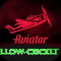 willow cricket Apps (Tools & Injectors) Ultimate v4.0.2