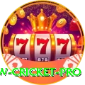 willow cricket Plus - Free Download